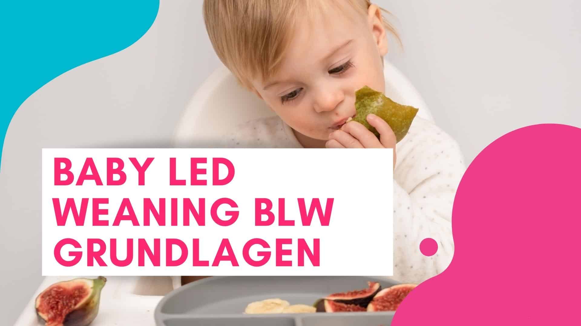 Baby Led Weaning BLW Basics