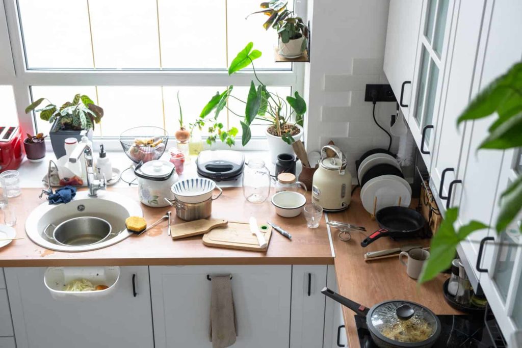 Ursachen für muffigen Geruch in der Wohnung, wie Schimmel und Feuchtigkeit