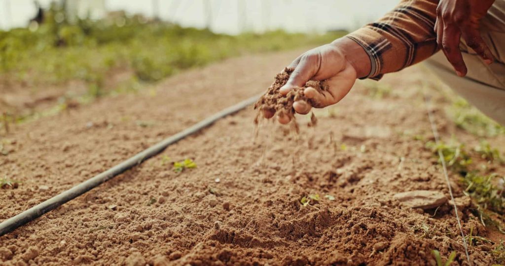 Bodenfeuchte geht uns alle etwas an hier erfährst du mehr bei Wiladu