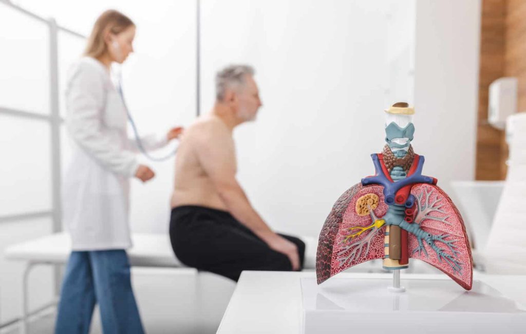 Was ist die Thymusdrüse und wo befindet sie sich bei Wiladu