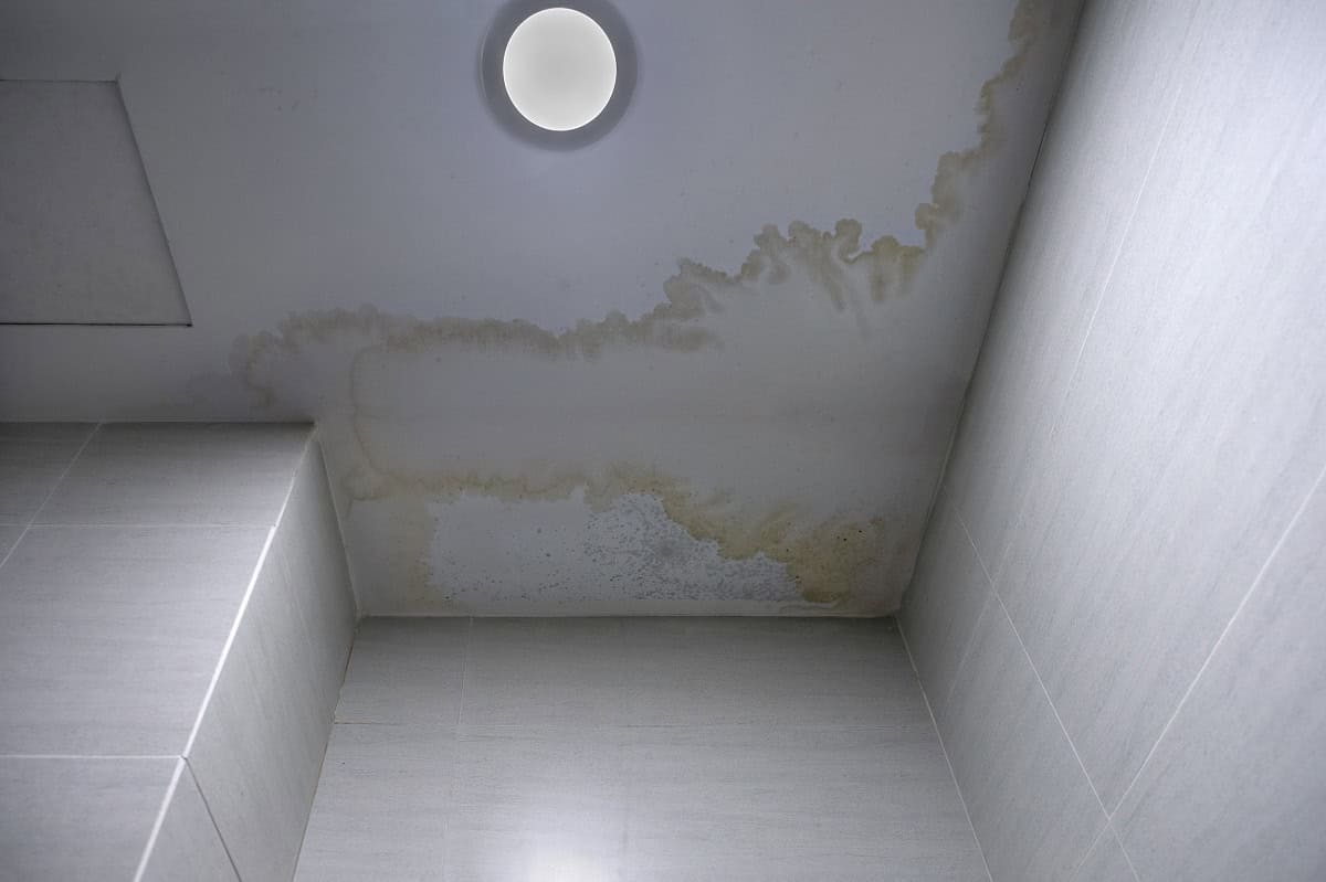 Schimmelflecken auf Tapete nach Wasserschaden sichtbar