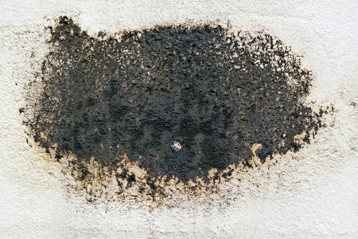 Schwarzer Schimmel hinter einem Schrank an der Außenwand