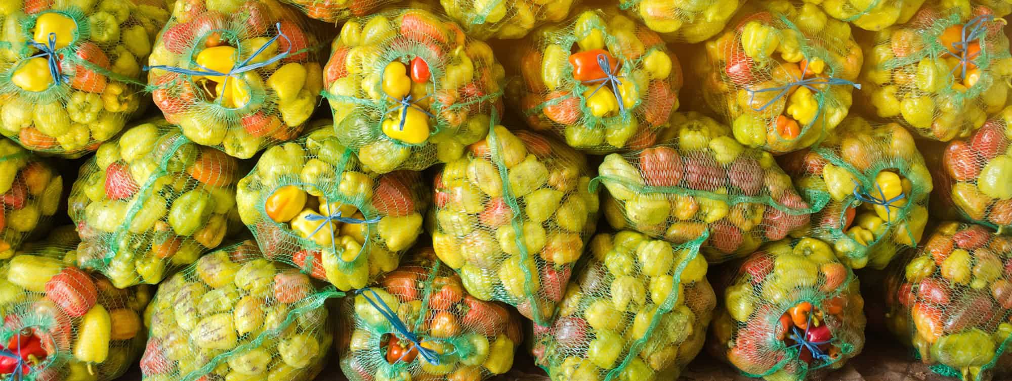 Flavonoide und die unsichtbare Heilkraft der Pflanzenfarben